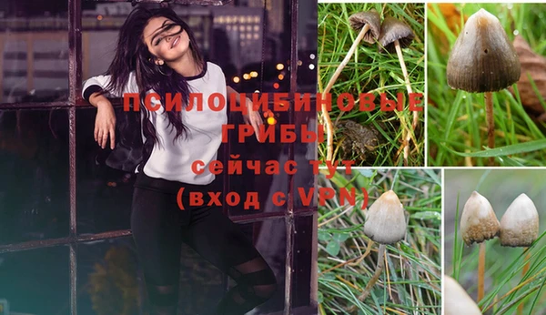 спиды Абдулино