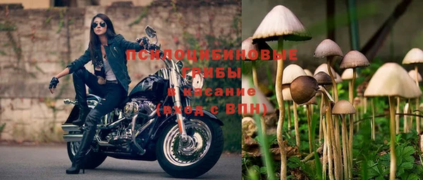 спиды Абдулино